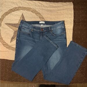 Lane Bryant Classic Blue Straight Leg Jeans